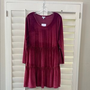 Love, Fire Rich Burgundy Velvet Dress